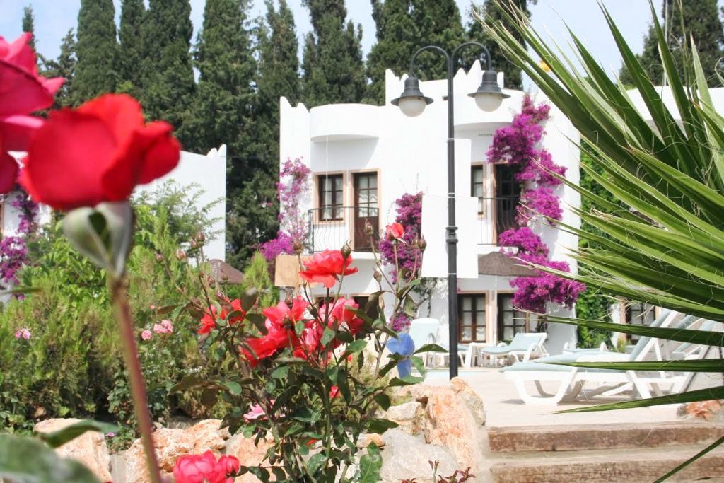 Safir Hotel Бітез Екстер'єр фото